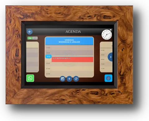 Memory Lane calendar showing daily appointments and reminders